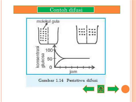 difusi  osmosis powerpoint    id