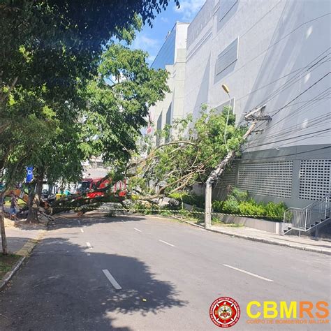 Queda De Rvore Interrompe Tr Nsito E Deixa Moradores Sem Luz No Bairro