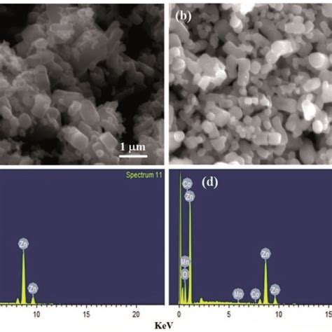 Sem Micrographs Of A Zno B 2 Mn And 6 Co Doped Zno Nanoparticles Download Scientific