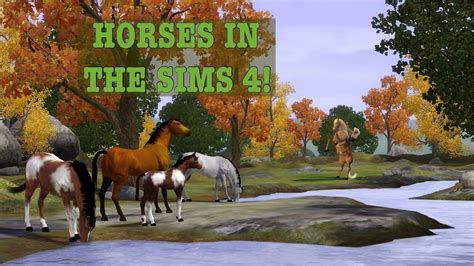 Petition · Horses in The Sims 4 - Poland · Change.org