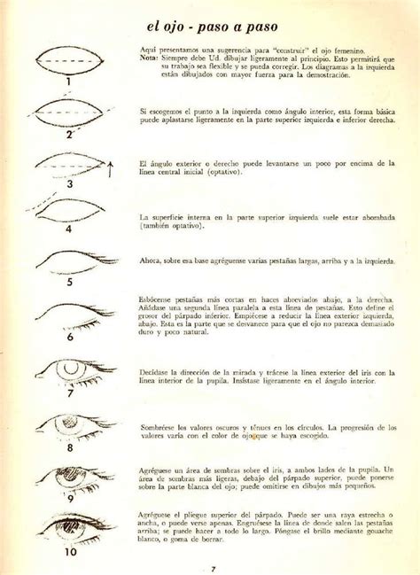 Dibujando La Cabeza Y El Cuerpo Humano Anatomy Art Body Art