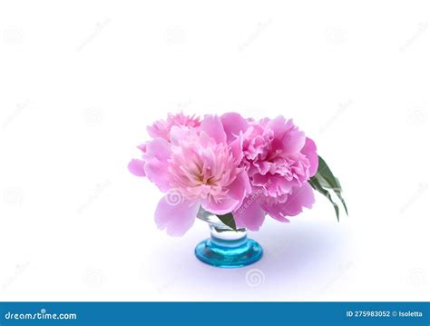 Pink Peonies Beautiful Spring Flowers In Glass Vase Stock Photo