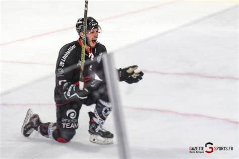 Hockey Sur Glace Ligue Magnus Amiens Compte Se Relancer Gap