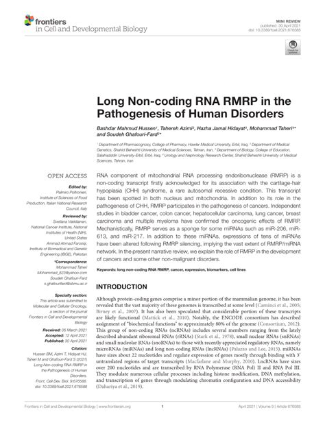 Pdf Long Non Coding Rna Rmrp In The Pathogenesis Of Human Disorders