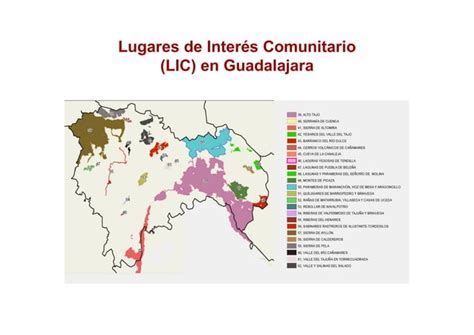 Potencial Del Turismo Ornit Logico En Guadalajara Ppt