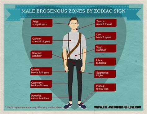 Infographic Male Erogenous Zones According To Their Star Sign