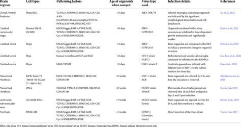 Applications of brain organoids in virus. | Download Scientific Diagram