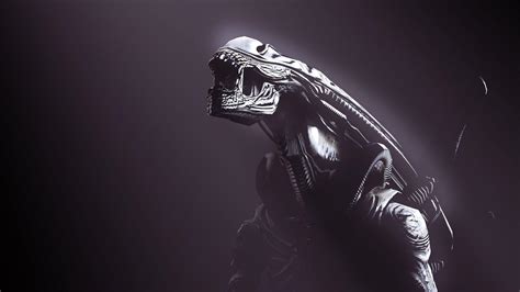 Alien Xenomorph Wallpapers Top Free Alien Xenomorph Backgrounds