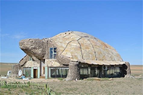 Turtle house..... : r/oddlyweird