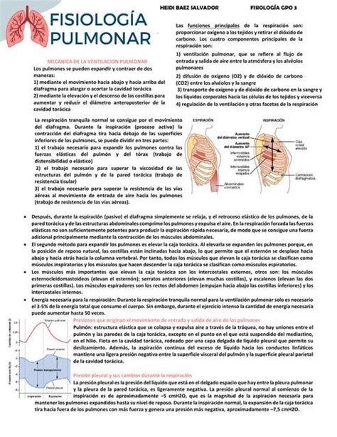 Fisiología Pulmonar Heidi Baez uDocz