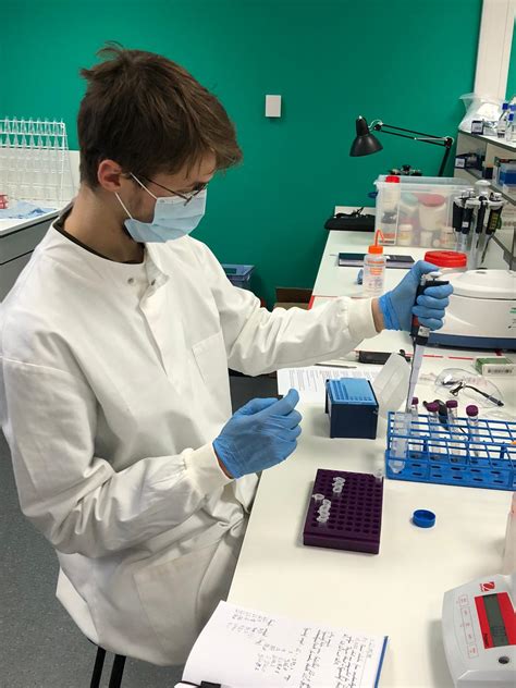 Proteins are not distributed equally in ancient teeth - Leiden University