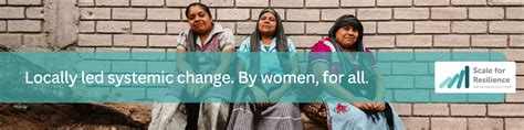 Women In Resilience Finance Mentorship Program Scale For Resilience