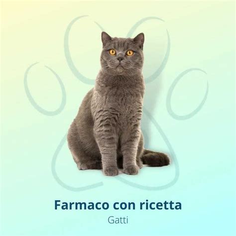 Apoquel 16 Mg 100 Compresse Per Cani Farmapets