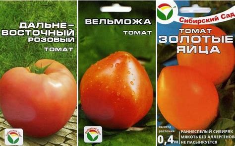 Непасынкующиеся томаты - низкорослые сорта помидоров для открытого ...