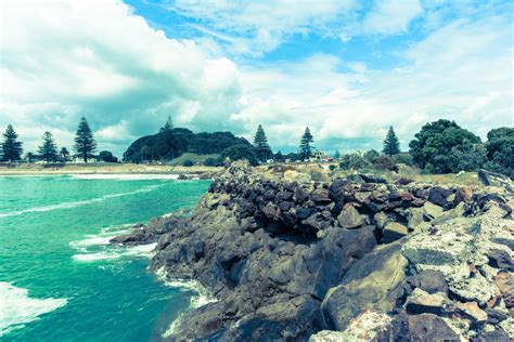 Māori Culture Bay Of Plenty Nz