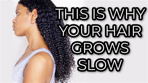 5 Reasons For Slow Hair Growth How To Start Growing Your Hair Natural Hair Youtube