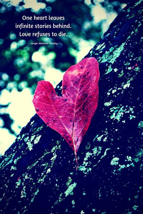 Falling Leaves Quotes - ShortQuotes.cc