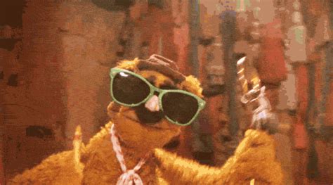 Animal Muppets GIFs - Find & Share on GIPHY