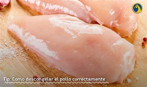 Como Descongelar El Pollo Correctamente Pollo Olympico Somos La