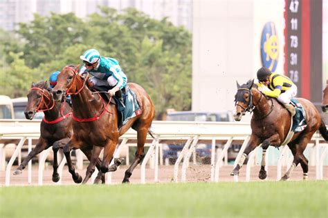 【クイーンエリザベス2世c】香港王者の前に日本勢屈するプログノーシスが日本馬最先着の2着に食い込む スポーツ報知