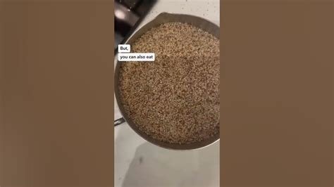 How To Cook Teff Gluten Free African Grain Youtube