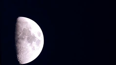 Australia Backs Effort To Grow Plants On Moon By 2025