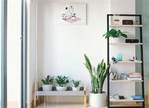 Creative Ways To Display Indoor Plants Loveeeleaf