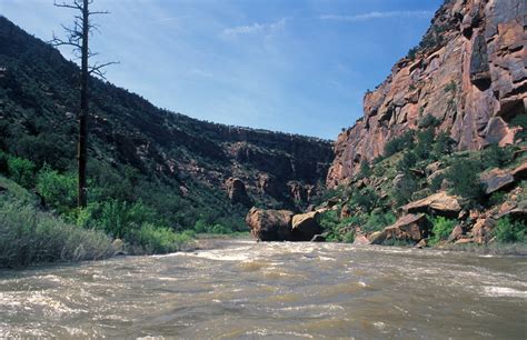 Dolores River Whitewater Rafting Cortez Co Multi Day Trips