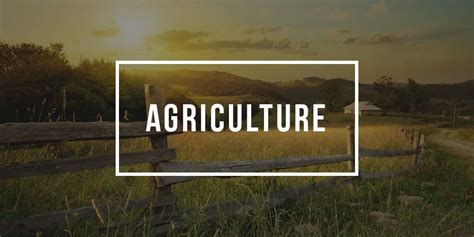 Major in Agriculture| Agriculture Degree Programs| Plexuss