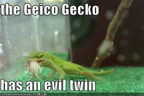 Geico Gecko Quotes. QuotesGram