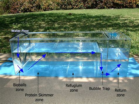 Diy Aquarium Sump Design Diy Saltwater Aquarium Sump Design The | Images and Photos finder