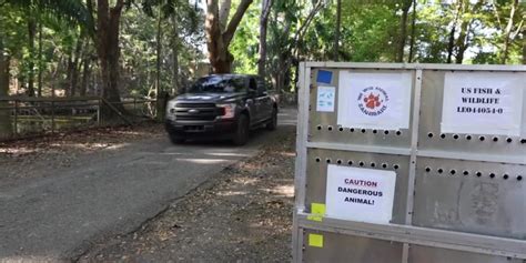 Puerto Rico zoo animals transferred to sanctuary | Myanmar International TV