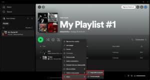 How To Play A Spotify Playlist On Discord Techcult