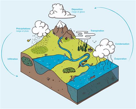 Les Cycles De L Eau Ge Ch