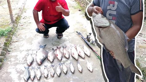 Amazing Big Rohu Catla Fishing And Landing By Primitivefishingbyakib