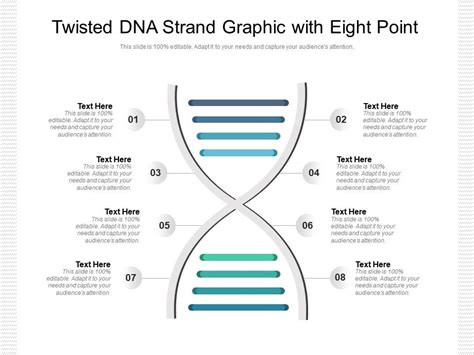 Twisted Dna Strand Graphic With Eight Point Powerpoint Slide Presentation Sample Slide Ppt