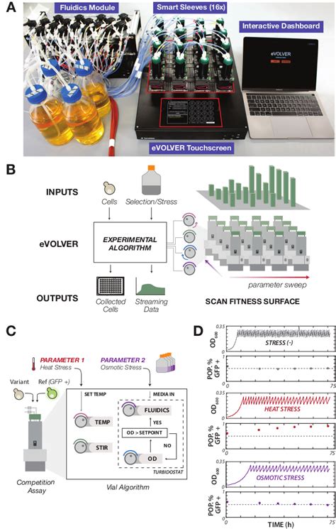 Designing Automated High Throughput Continuous Cell Growth