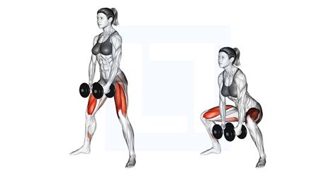 Dumbbells Sumo Squat Guide Benefits And Form