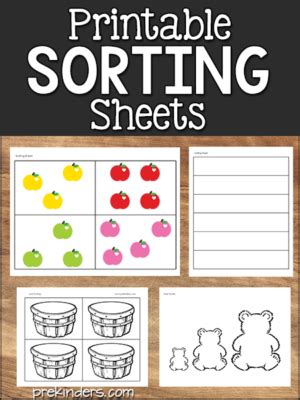 Sorting Activities For Pre K And Preschool Prekinders