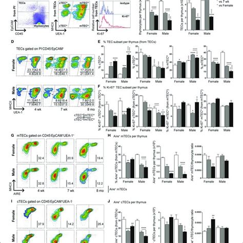 Late Stage Thymocyte Development Is Defective In Ncor Deficient Mice