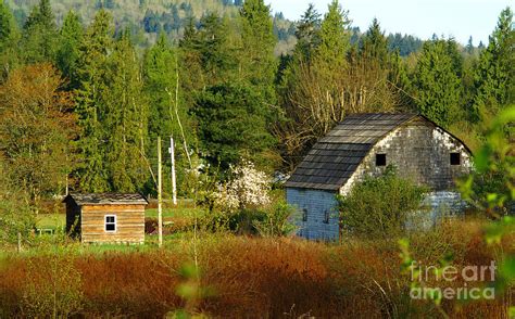 Hidden Barn Photograph by Randy Harris - Pixels