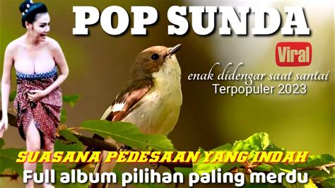 Suasana Persawahan Yang Indah Di Temani Lagu Pop Sunda Lawas Merdu