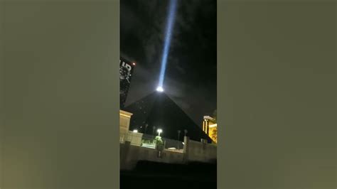 Grasshoppers Swarm Las Vegas Lights Viralhog Youtube