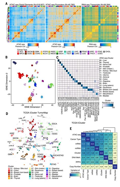 The Chromatin Accessibility Landscape Of Primary Human Cancers Science