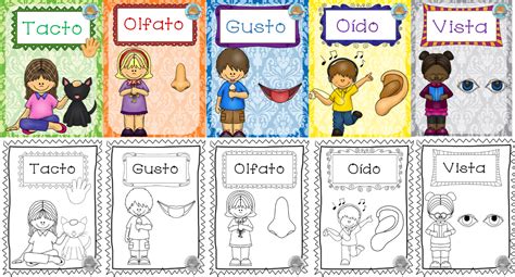 Fabulosos diseños para enseñar y aprender sobre los cinco sentidos