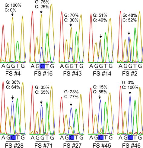 Frontiers Cloning Of The Cytochrome B Gene From The Tomato Powdery