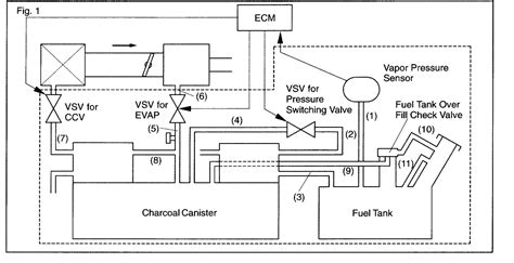 Toyota Tacoma Evap System Diagram