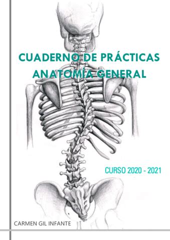 Tema Anatomia General M Carmen Pdf