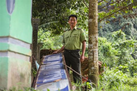 Vietnam S Last Wild Elephants On The Brink Of Survival