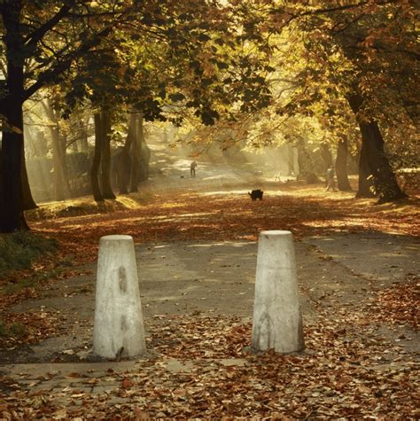 Entrance To Autumn Framed Art Print History Of Geodetic Survey Techniques